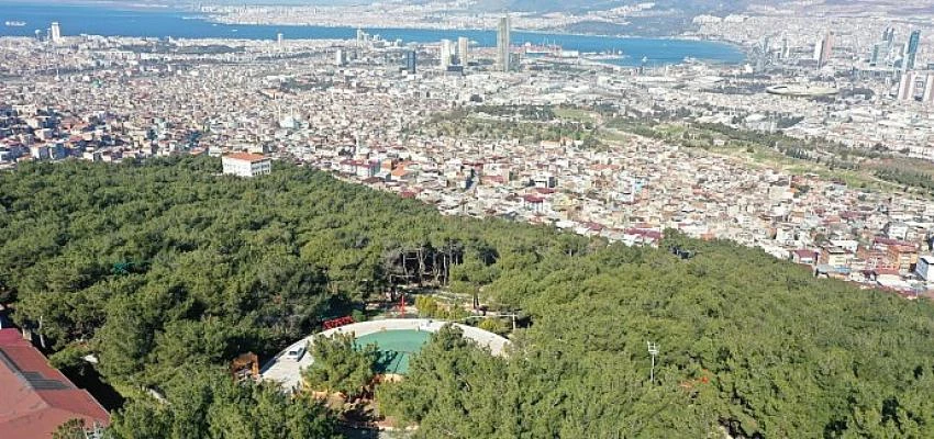 Mutluluk Kahvesi Çınartepe